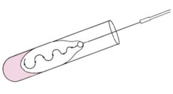 <p><span style="background-color: transparent;">For broth - Same as removing, simply dip the end of the loop into the broth</span></p><p><span style="background-color: transparent;"><br>For slanted agar - Flat surface up, gently streak in a back and forth zig zag until the entire slanted surface is covered. </span></p>