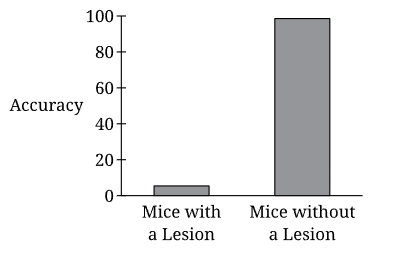 <p><span>Professor Janeja is studying which brain regions are involved in learning to correctly navigate a maze task. She randomly assigns half of a group of mice to get a lesion in one area of the brain. The other half does not get a lesion. Based on the following graph, where in the brain is the most likely site of the lesion?</span></p>