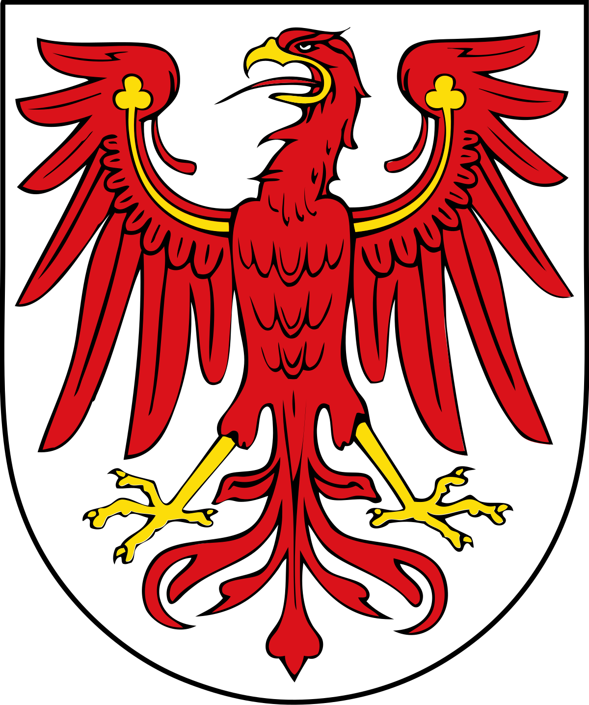 <p>Herb Brandenburgii (niemieckiego landu <strong>Brandenburg</strong>) przedstawia:</p><ul><li><p class=""><strong>Czerwonego orła</strong> z rozpostartymi skrzydłami,</p></li><li><p class="">Na <strong>srebrnej (białej)</strong> tarczy,</p></li><li><p class="">Orzeł ma złoty dziób i szpony oraz złotą przepaskę na skrzydłach.</p></li></ul><p></p>