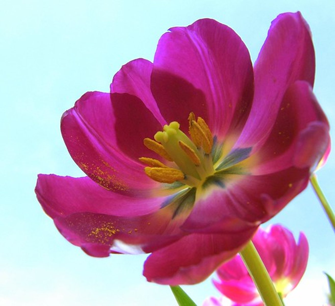 <p>pretty; beautiful</p>
