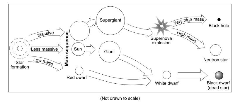<p>The final stage in the life cycle of the most massive stars is a…</p><ul><li><p>Black hole</p></li><li><p>Black dwarf</p></li><li><p>supergiant</p></li><li><p>white dwarf</p></li></ul><p></p>