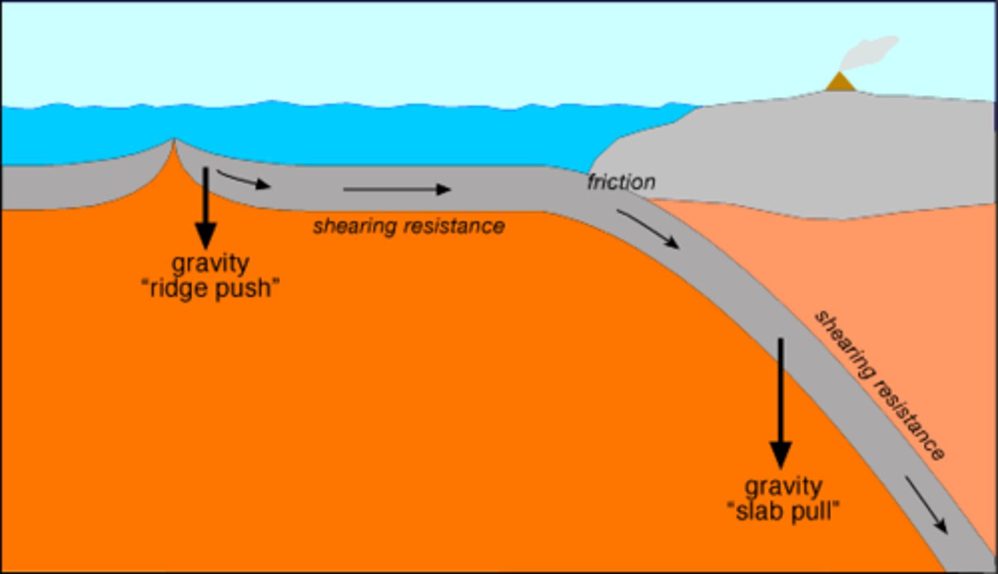 <p>descending oceanic crust pulls the plate; elevated ridge system pushes the plate</p>