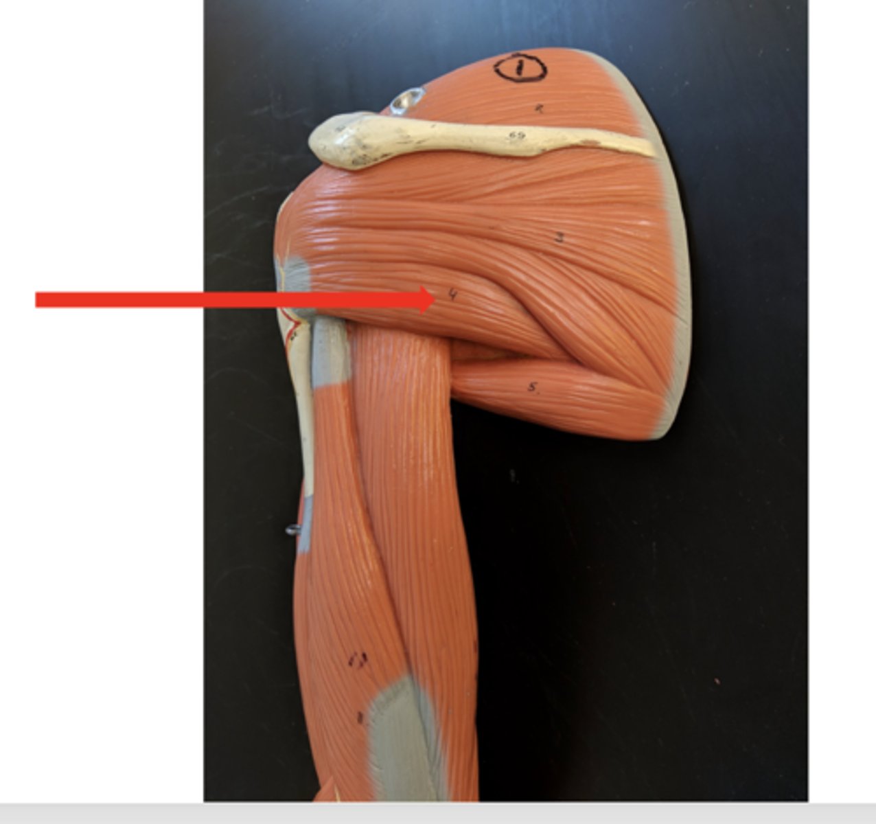 <p>what is this?</p>