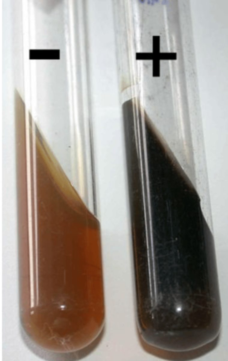 <p>bile, esculin, ferric citrate</p>