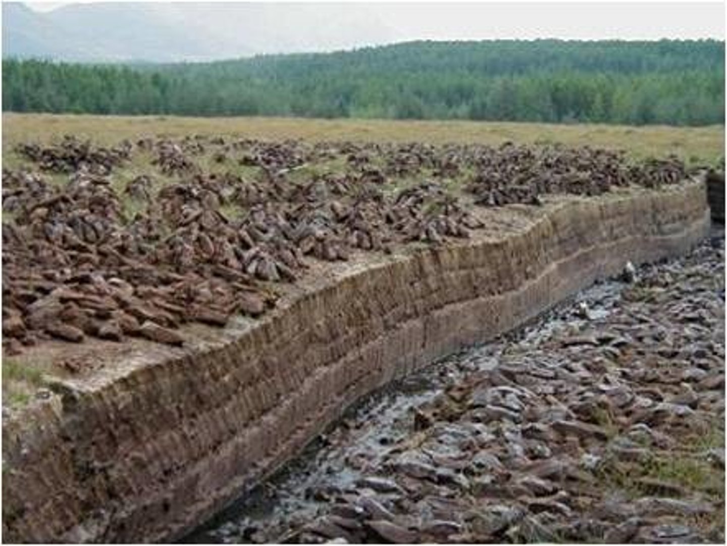 <p>material from very old decayed plants that burns like coal (looks like soil )</p>