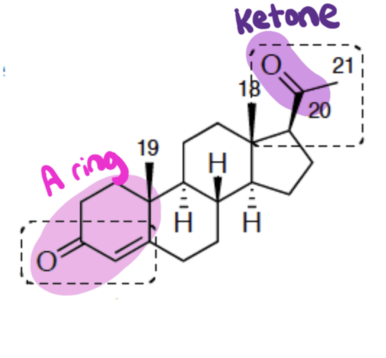 <p>What is this PR agonist?</p>