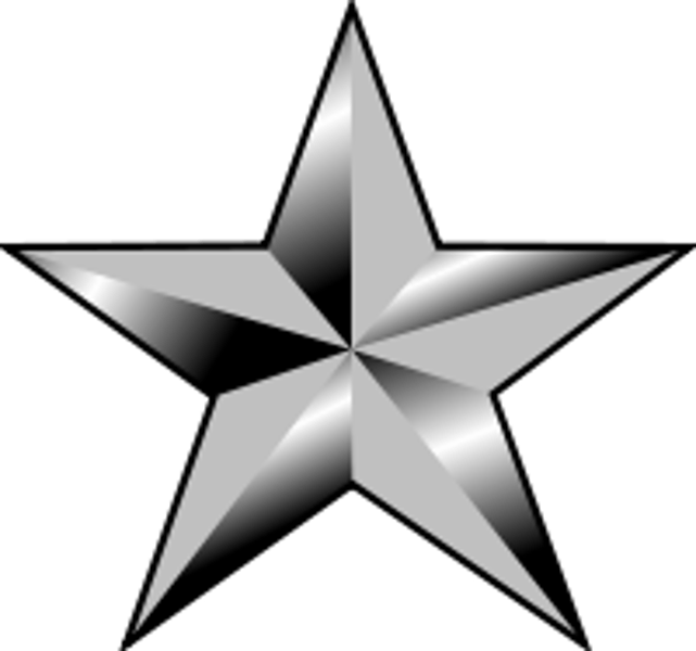 <p>Brigadier General</p>