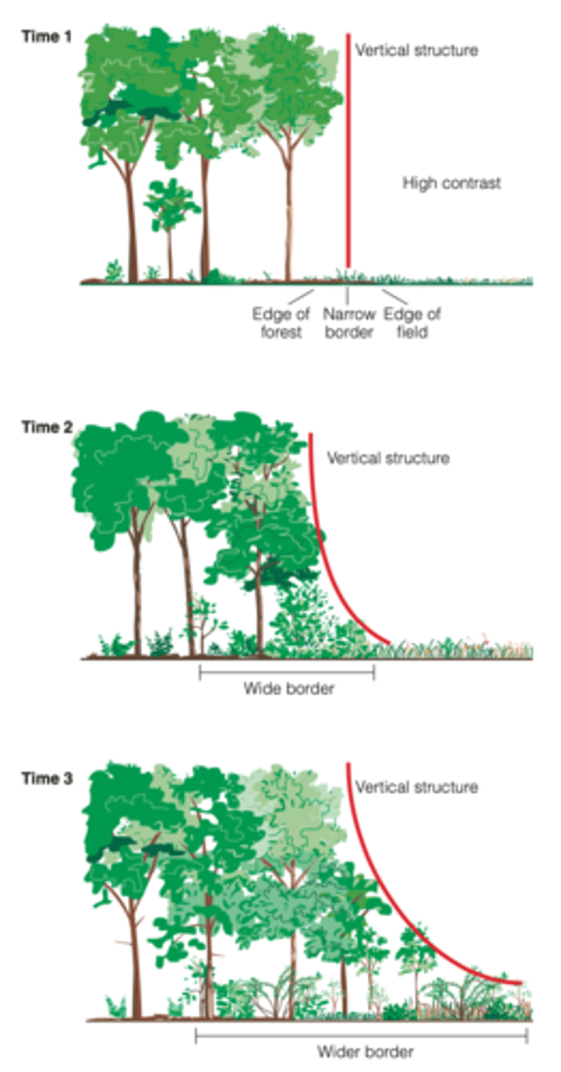 <p>fires, human activities (moving, timber removal)</p>
