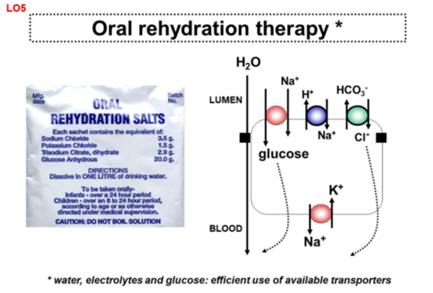 <p>Oral rehydration therapy</p><p>IV rehydration with Ringer's lactate</p><p>Antibiotic therapy = doxycycline</p>