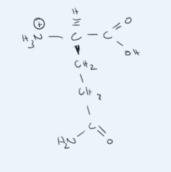 <p>What amino acid is this?</p>