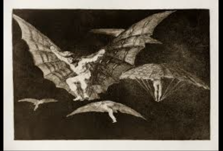 <p>goya 13</p>