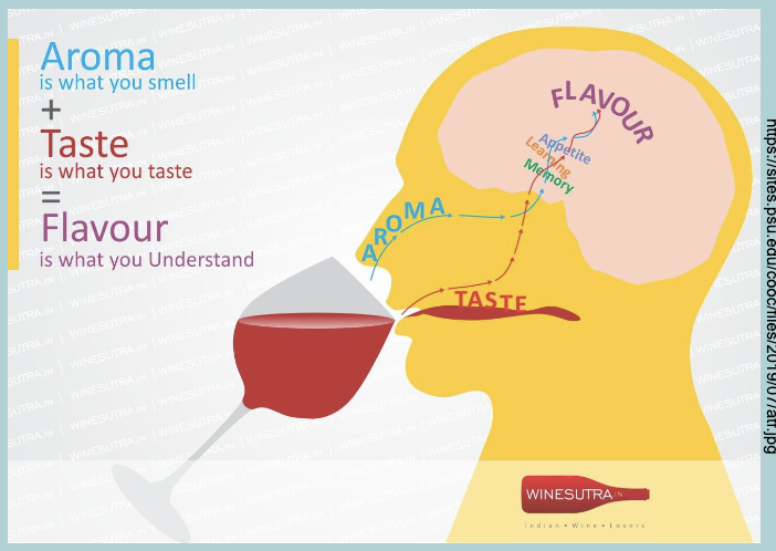 <p>Taste does not equal FLAVOUR - flavour involves the sense of SMELL&nbsp;</p>