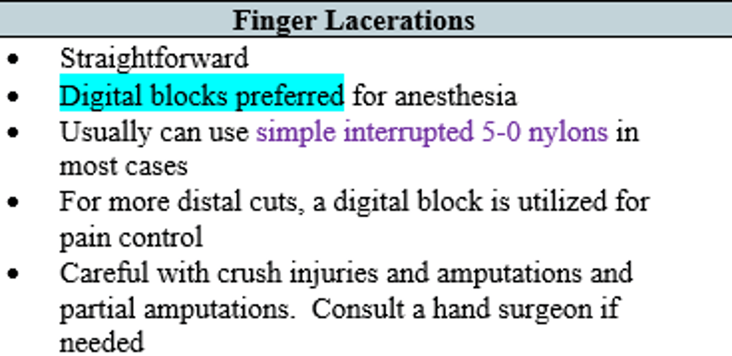 <p>Digital block</p>