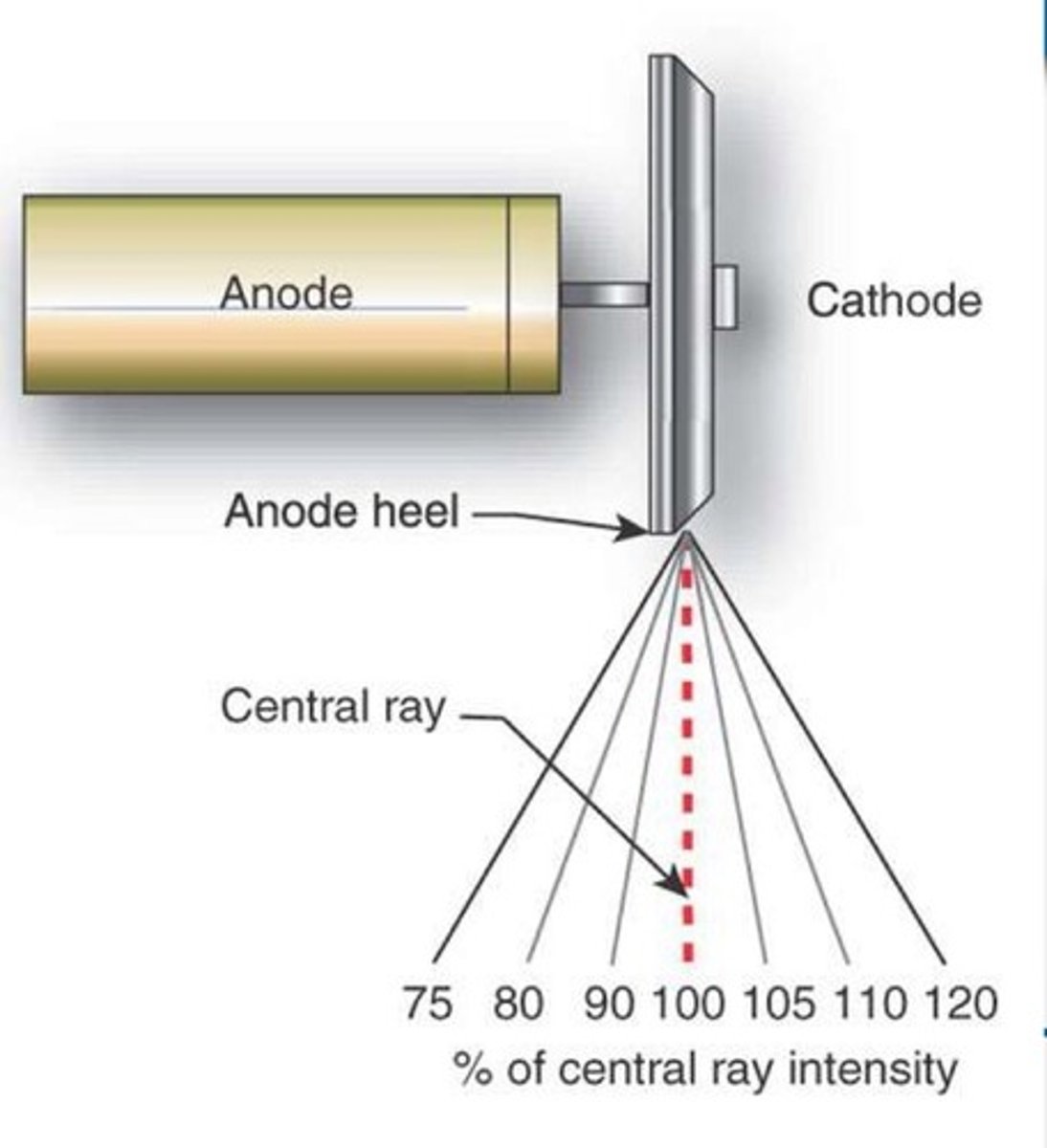 <p>x-ray intensity is &gt; on cathode side &amp; &lt; on anode side</p>