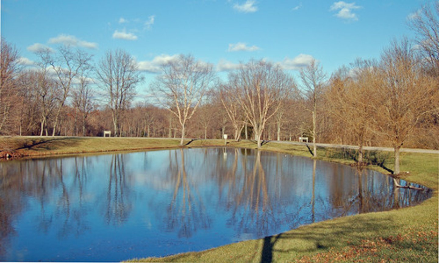 <p>池塘; The park has several small ponds</p>