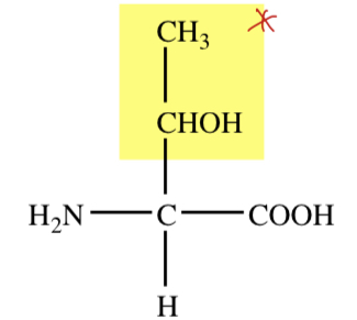 SECONDARY OH GROUP