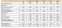 The prediction of all expected receipts and expenses of a business over a future time period which shows the expected cash balance at the end of each month