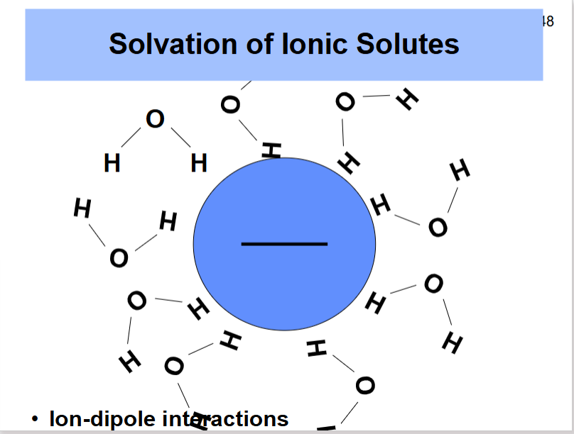 <ul><li><p>ion-dipole interactions, one of the hydrogens in the water are surrounding the anionic charge </p></li></ul><p></p>