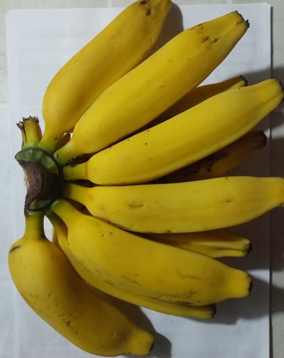 <p>QUE BANANAS VOCÊ COME? EU COMO BANANAS MADURAS.</p>