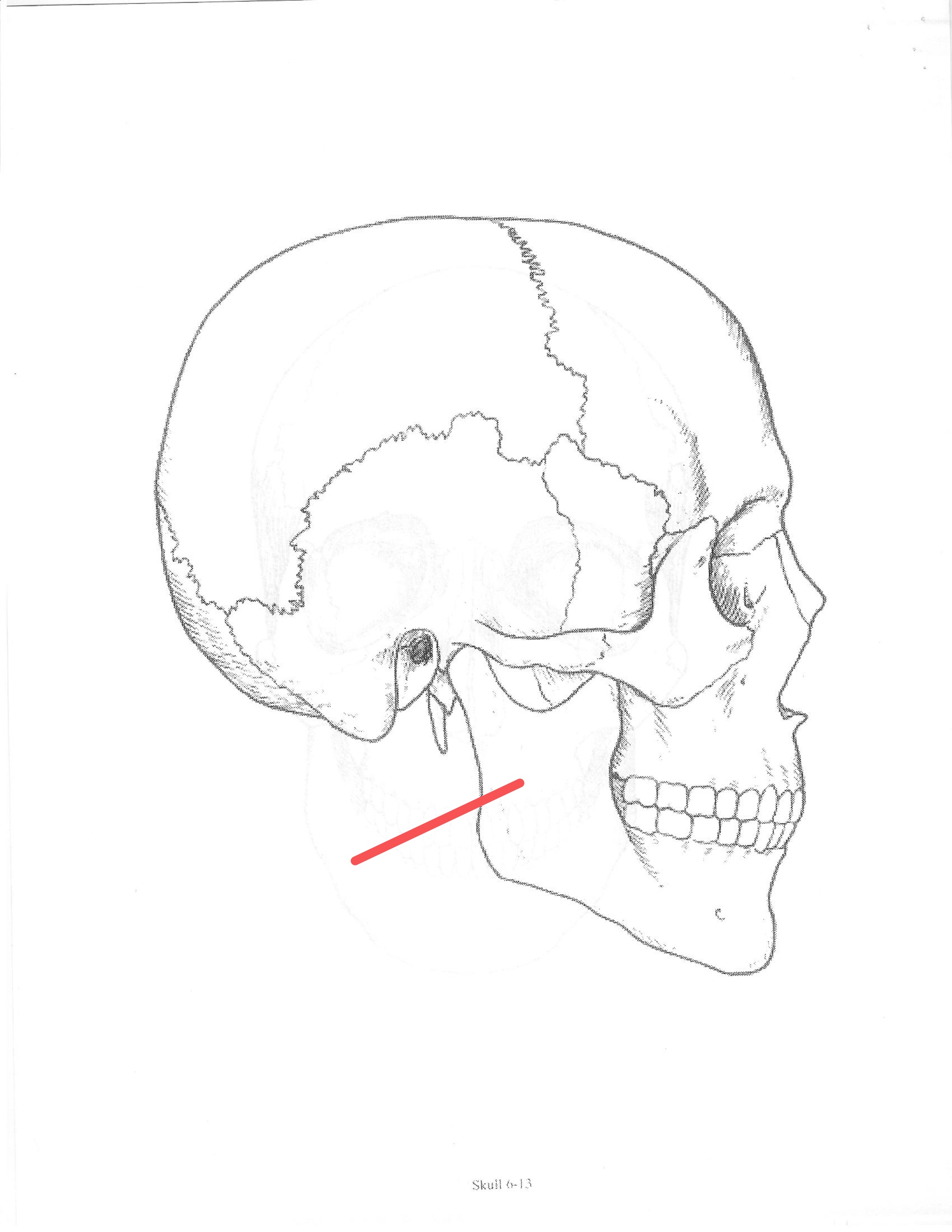 <p>ID feature</p>