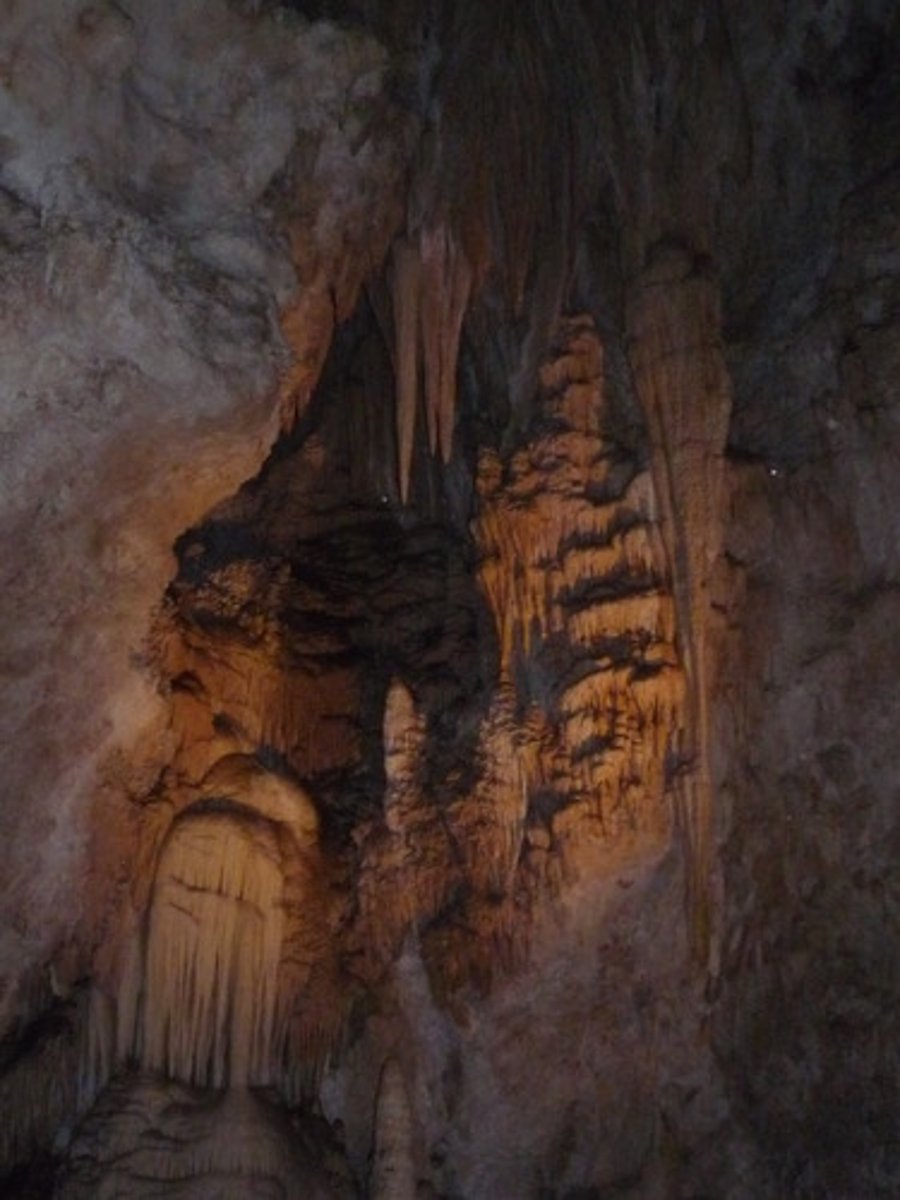 <p>New Mexico</p>