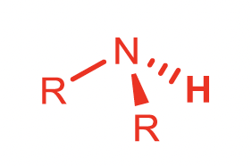 <p>Secondary Amine</p>