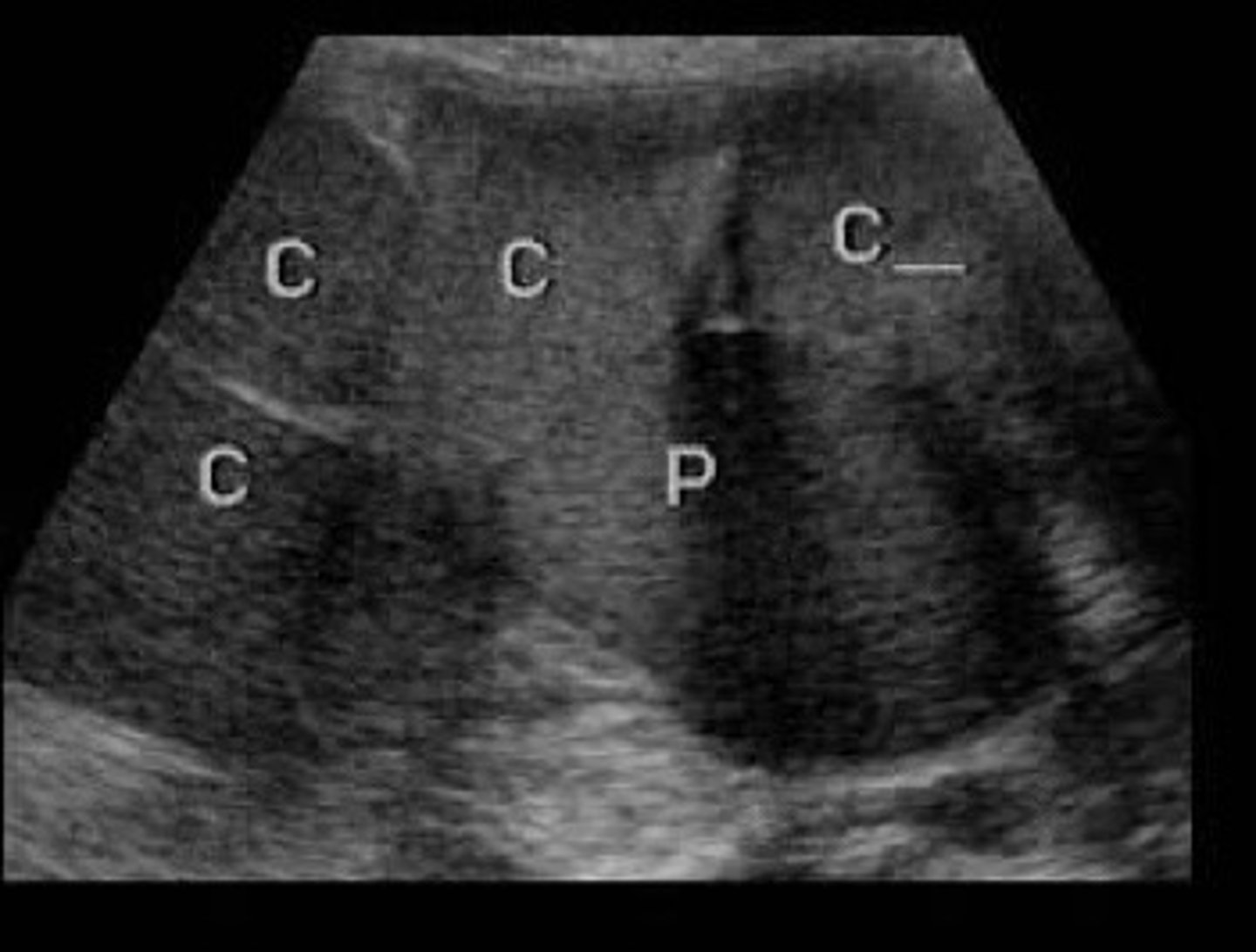 <p>What does this image show</p>