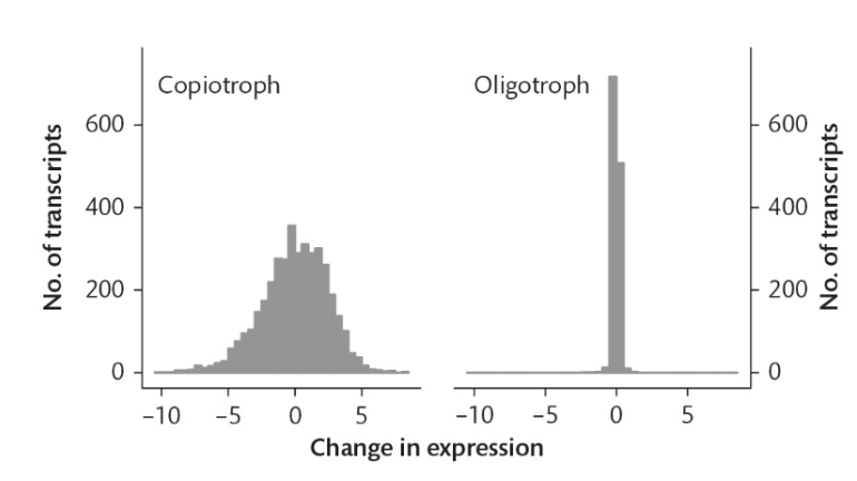 <p>What does this graph demonstrate?</p>