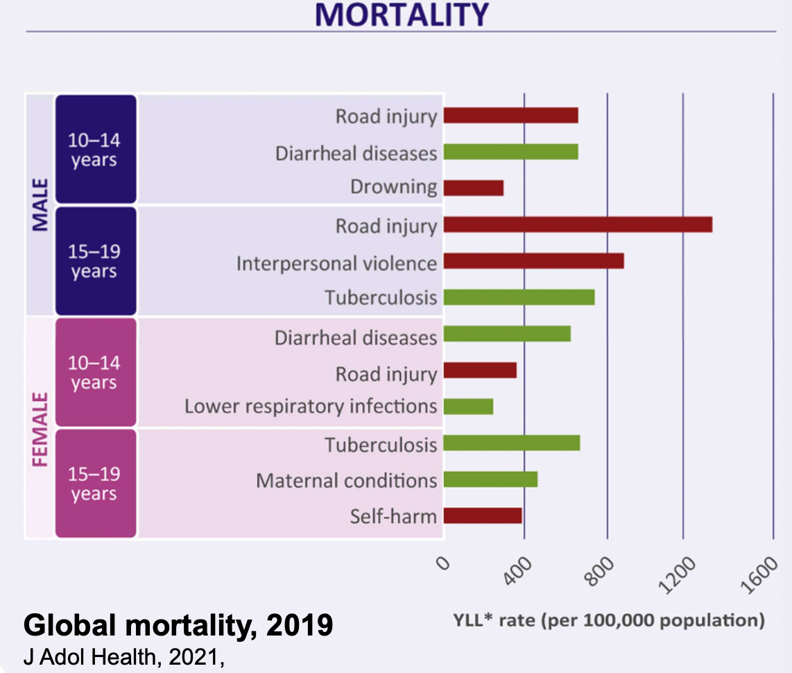 <ul><li><p>Increase in age through risk taking behavior → unintentional injuries (traffic accidents)</p></li><li><p>Especially in boys </p></li></ul><p></p>