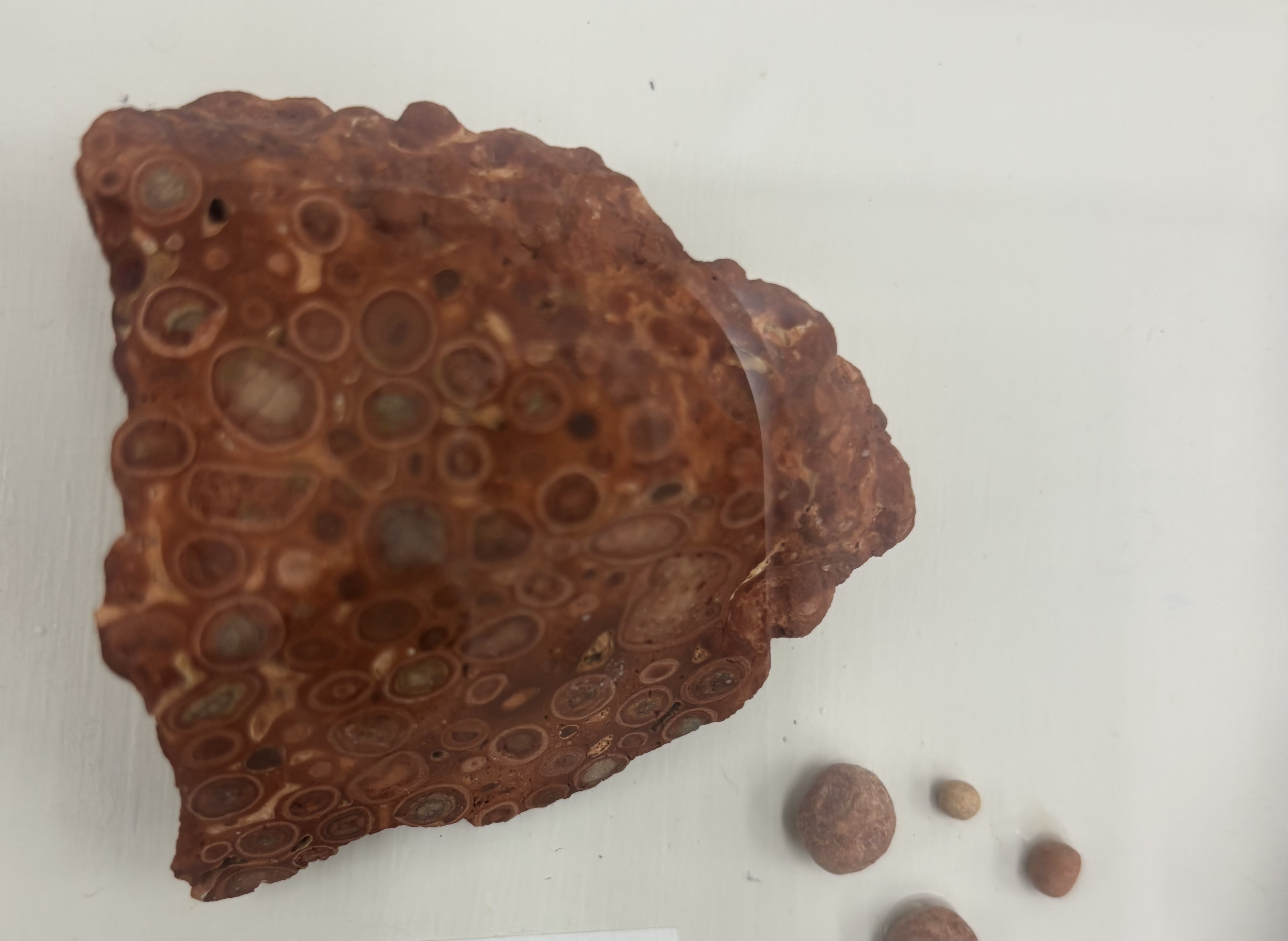 <p>Mineral, diagnosis</p>