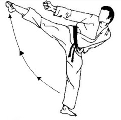 <p>Side snap kick (90°)</p>