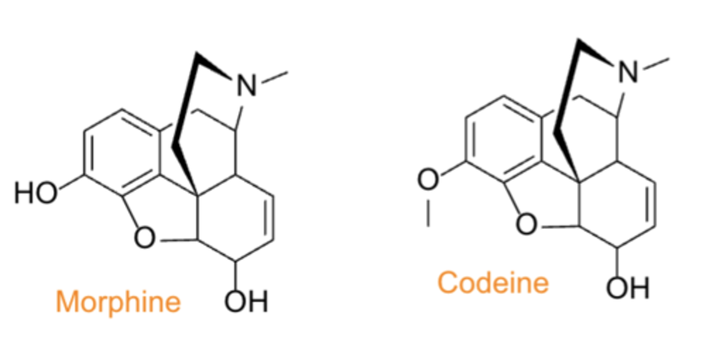 <p>• Source: opium poppy (Papaver somniferum)</p><p>• PC/MOA: agonism at mu opioid receptors in CNS produces analgesia</p><p>• Selected compounds: Morphine (MS Contin), Codeine (Tylenol #3®)</p>