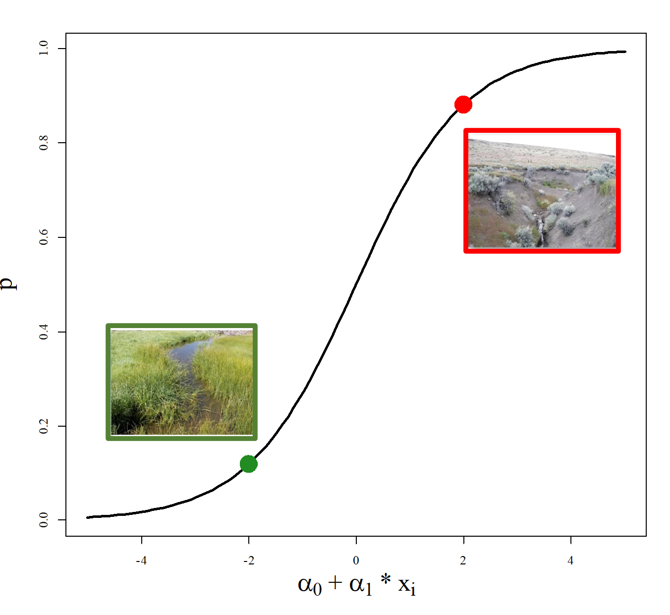 <p>logit(Pij) = Alpha0 + Alpha1*xi</p><p>A1 is the influence that the presence of the confounding variable has on occupancy</p><p>Where xi is confounding variable (restored/grazed) </p><p>Graphed on x with y being proportion of sites at that state with occupancy*pij</p>