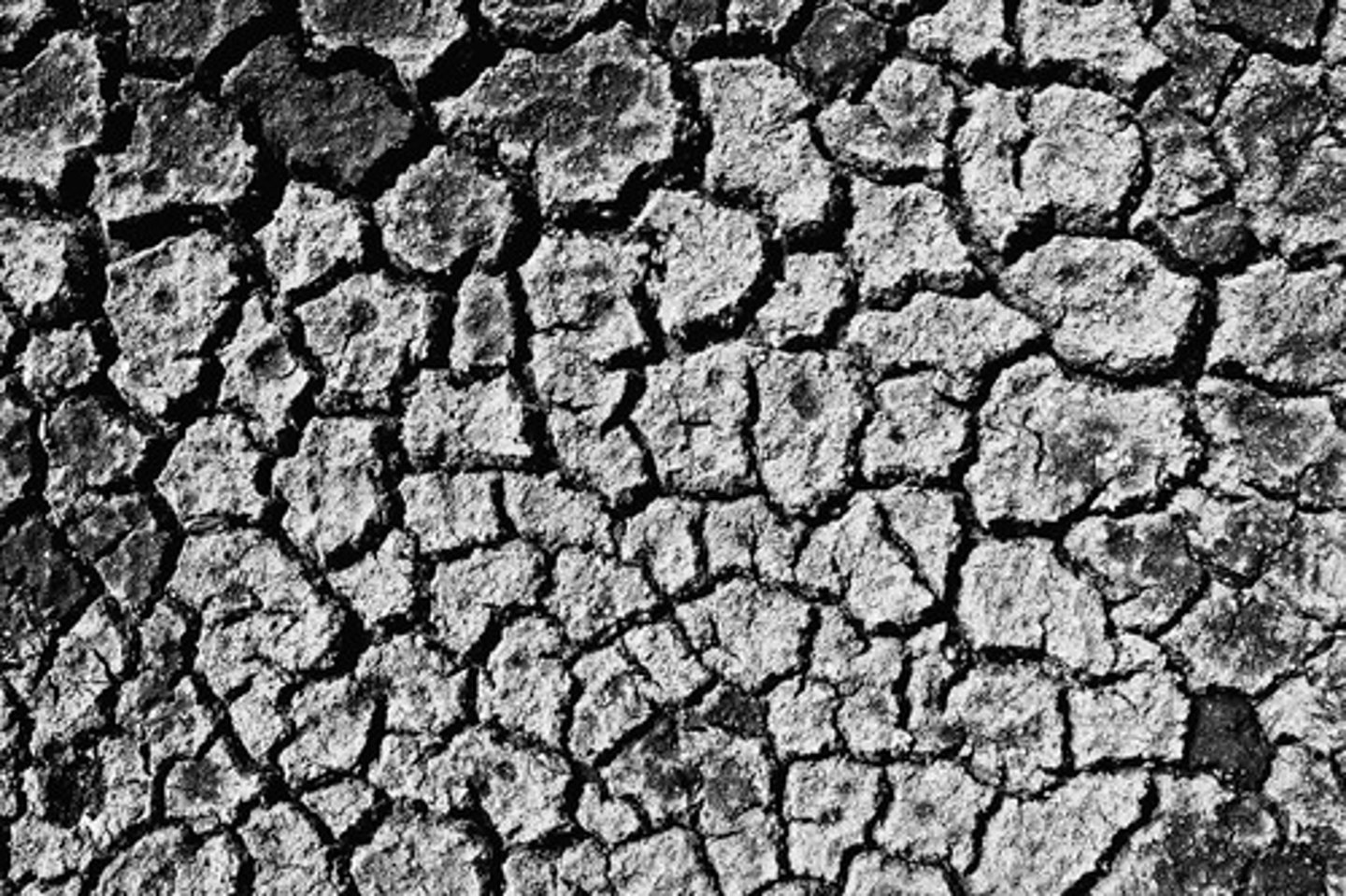 <p>a long period with little or no rain</p>