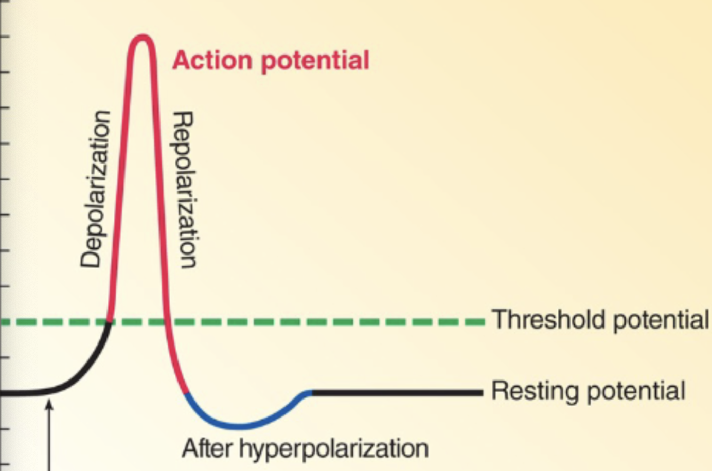 <p>What is occuring here with ions?</p>