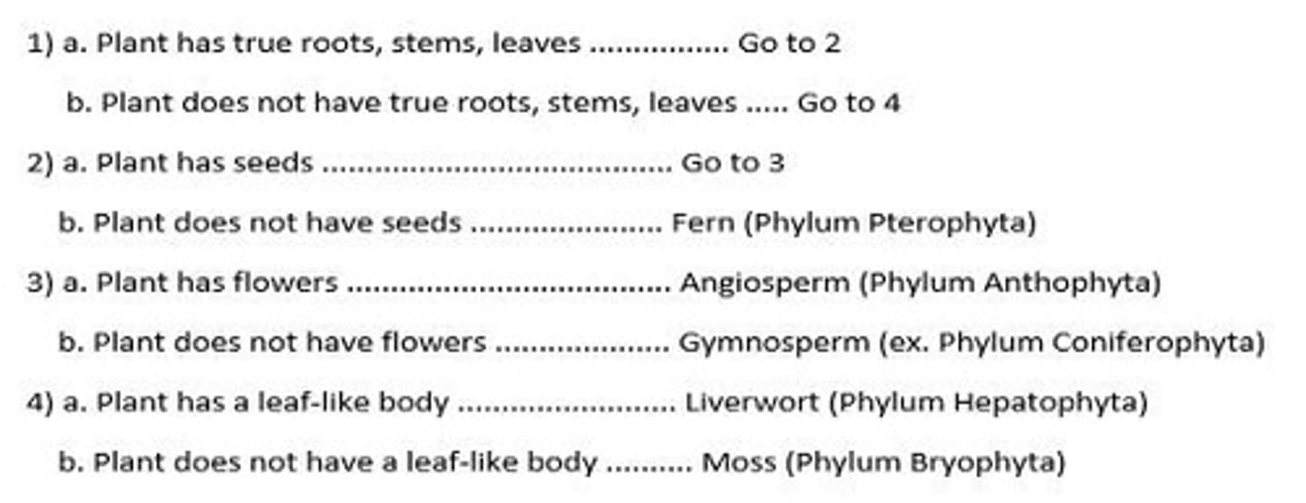 <p>In a dihybrid cross, traits such as seed shape (round R vs. wrinkled r) and seed color (yellow G vs. green g) are considered.</p>