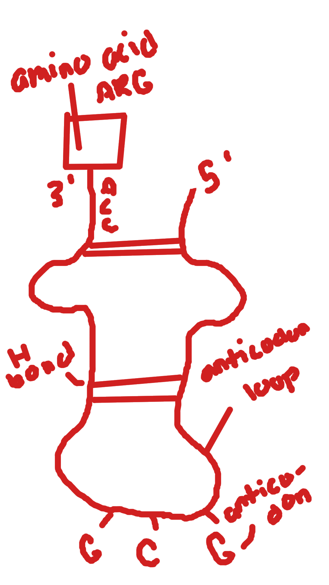 knowt flashcard image