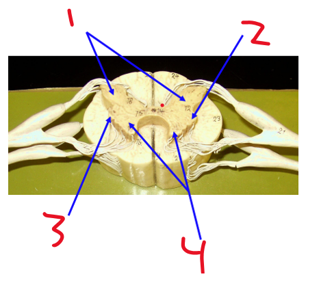 <p>Name structure 4&nbsp;</p>