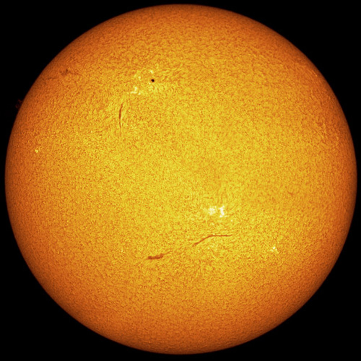 <p>the ultimate source of energy in ecosystems, provides radiant energy that plants change into chemical energy</p>