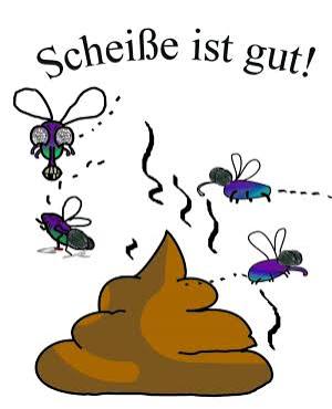 <p>Kacke</p>