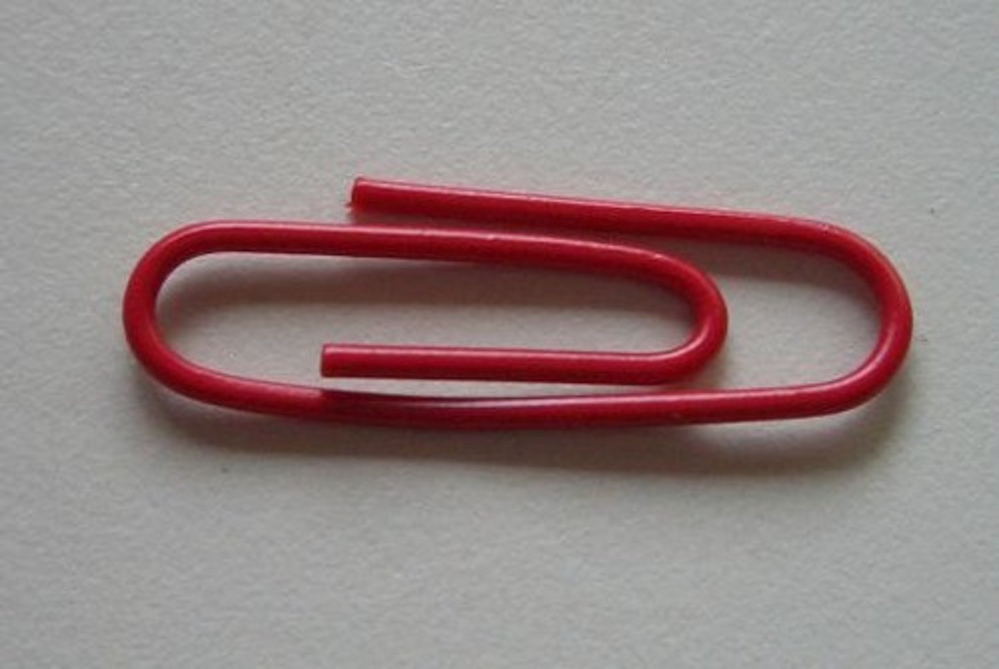 <p>the paper clip</p>
