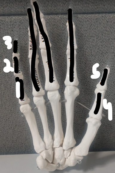 <p>What is 1?</p>
