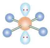 <p>SN: 6</p>