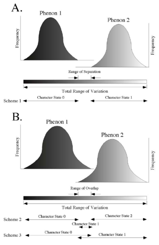 <p>2 character states can </p><p>be fully separated (like in molecular data)</p><p>or</p><p>overlap (often in morphological data, e.g. color, size,…) </p>