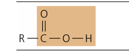 <p>What is the structure style, function, and common context of Carboxyl?</p>