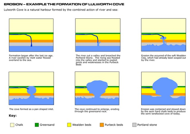 <ul><li><p>Forms when coastline has bands of resistant + less resistant rock running <strong>parallel</strong> to oncoming waves (<strong>concordant</strong> coastline)</p></li><li><p>Usually band of resistant rock facing waves, with band of softer rock behind</p></li><li><p>Wave processes exploit faults in resistant rock + erode through to softer rock</p></li><li><p>Further wave action erodes soft rock quickly, leaving circular cove with narrow entrance to sea</p></li><li><p>Wave refraction within cove spreads out erosion in all directions, creating typical horseshoe shape</p></li><li><p>e.g. Lulworth Cove, Dorset, UK</p></li></ul>