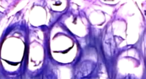 <p>what is this?</p>