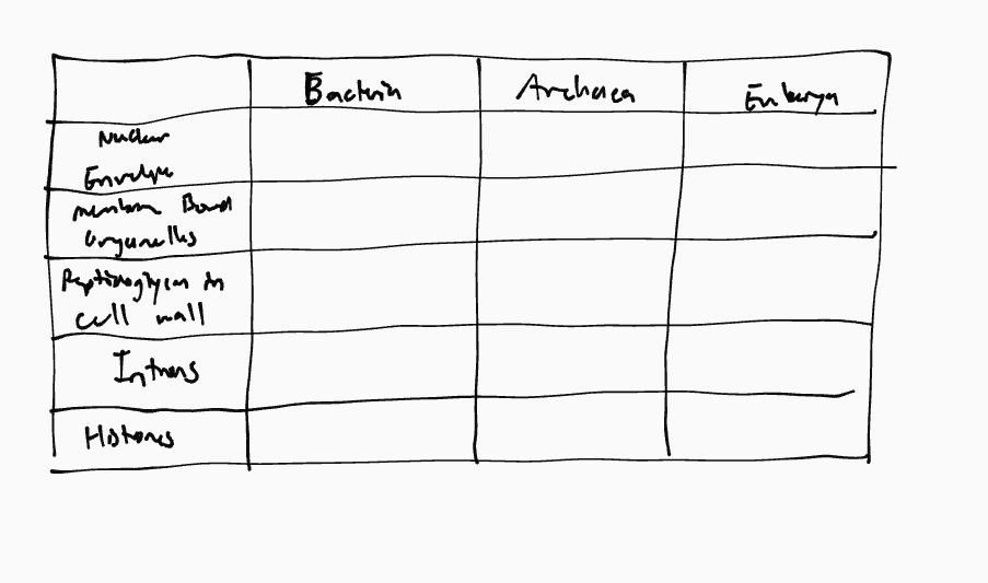 <p>Fill in this chart comparing the three domains of life </p>