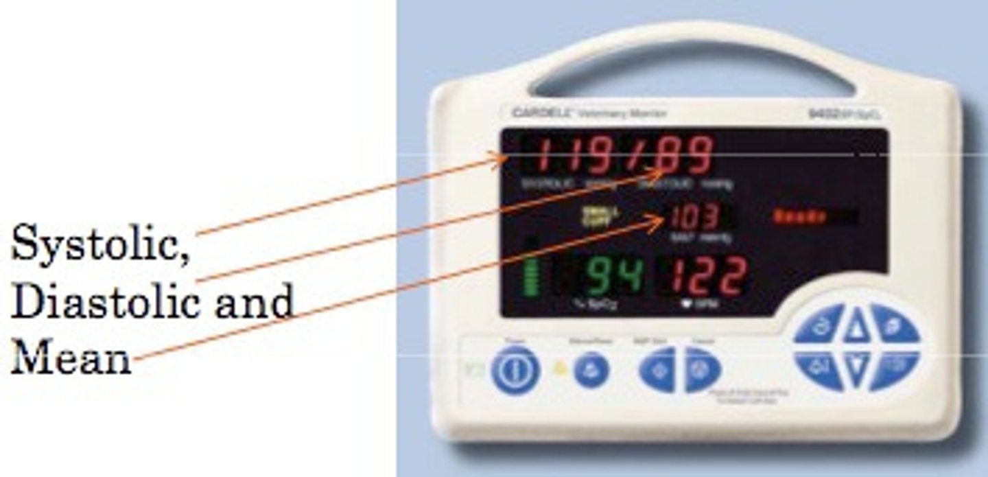 <p>occurs when the ventricles are relaxed; the lowest pressure against the walls of an artery</p>