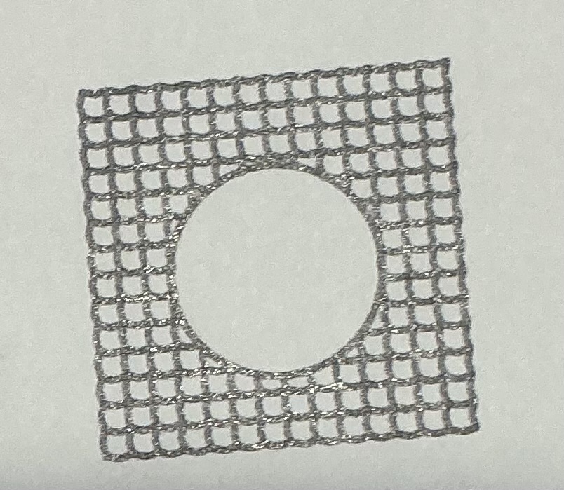 term image